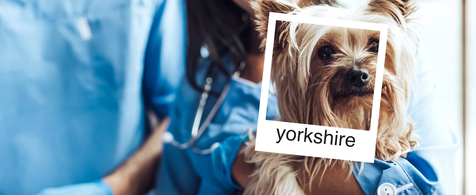 WE ARE Accepting New Patients